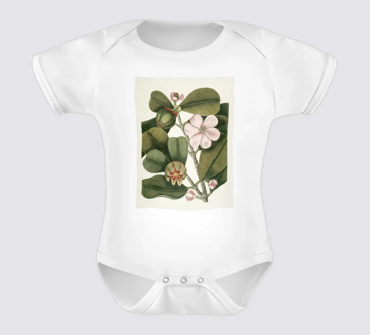 Balsam Tree in Bloom body neonato maniche corte da apoloprints