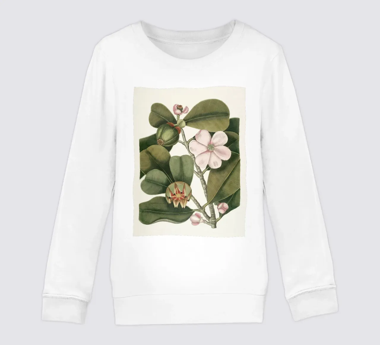 Balsam Tree in Bloom felpa bambino da apoloprints