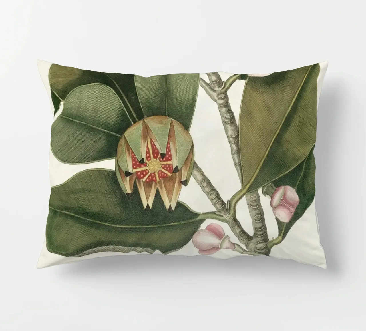 Balsam Tree in Bloom cuscino da apoloprints