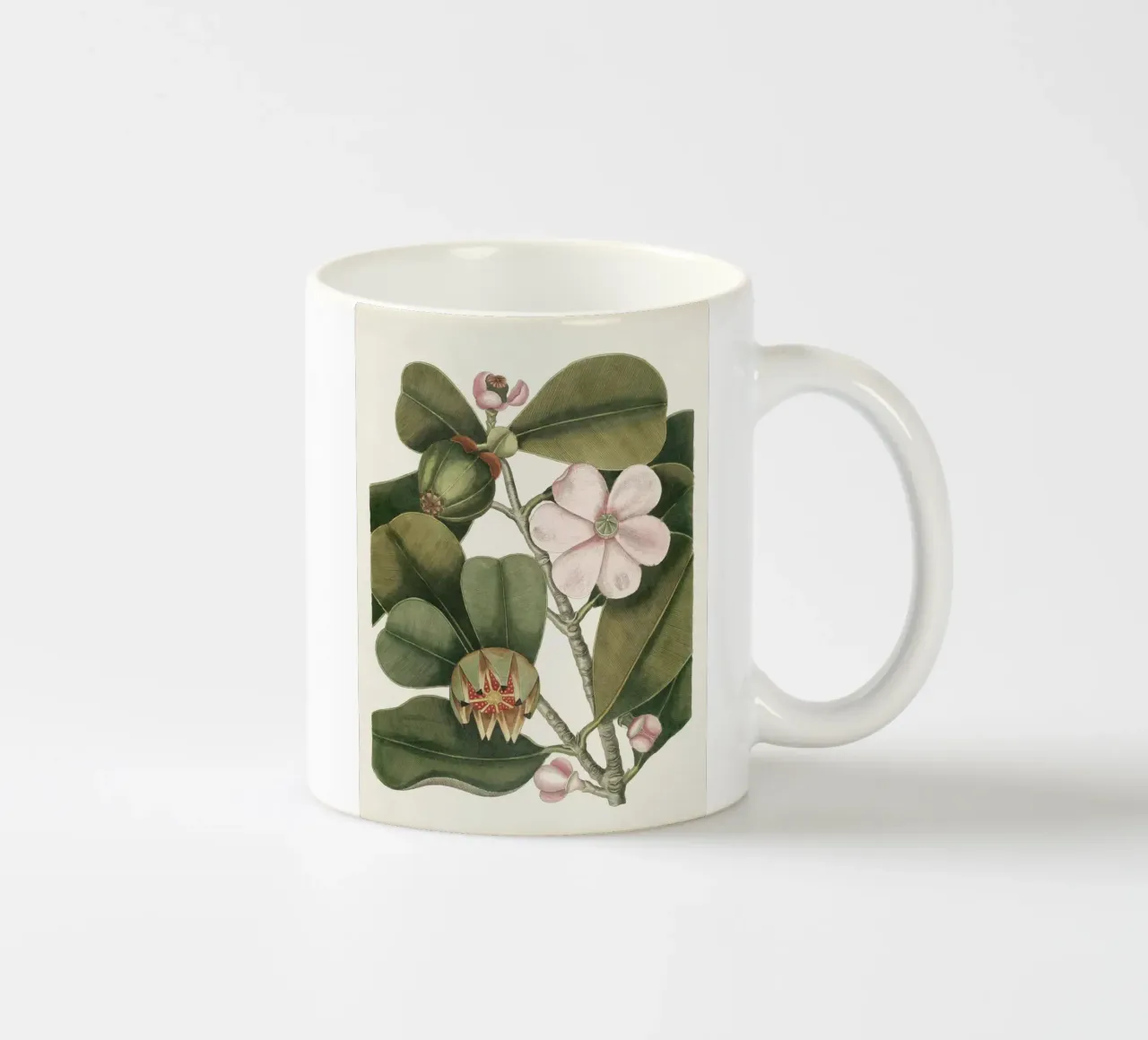 Balsam Tree in Bloom tazza in ceramica da apoloprints