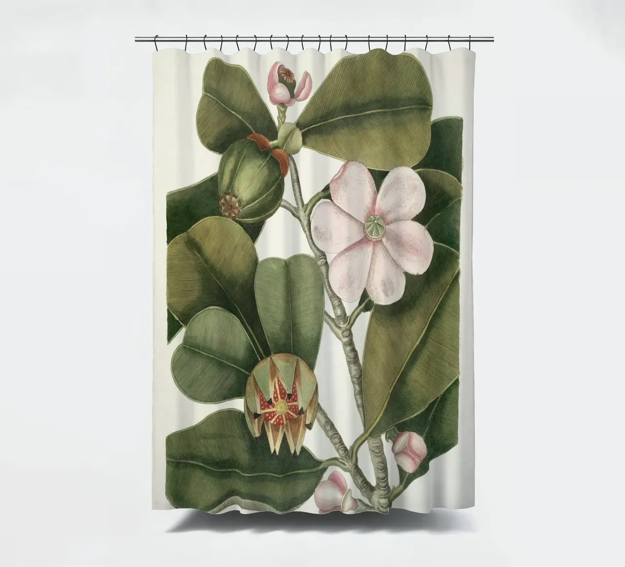 Balsam Tree in Bloom tenda da doccia da apoloprints