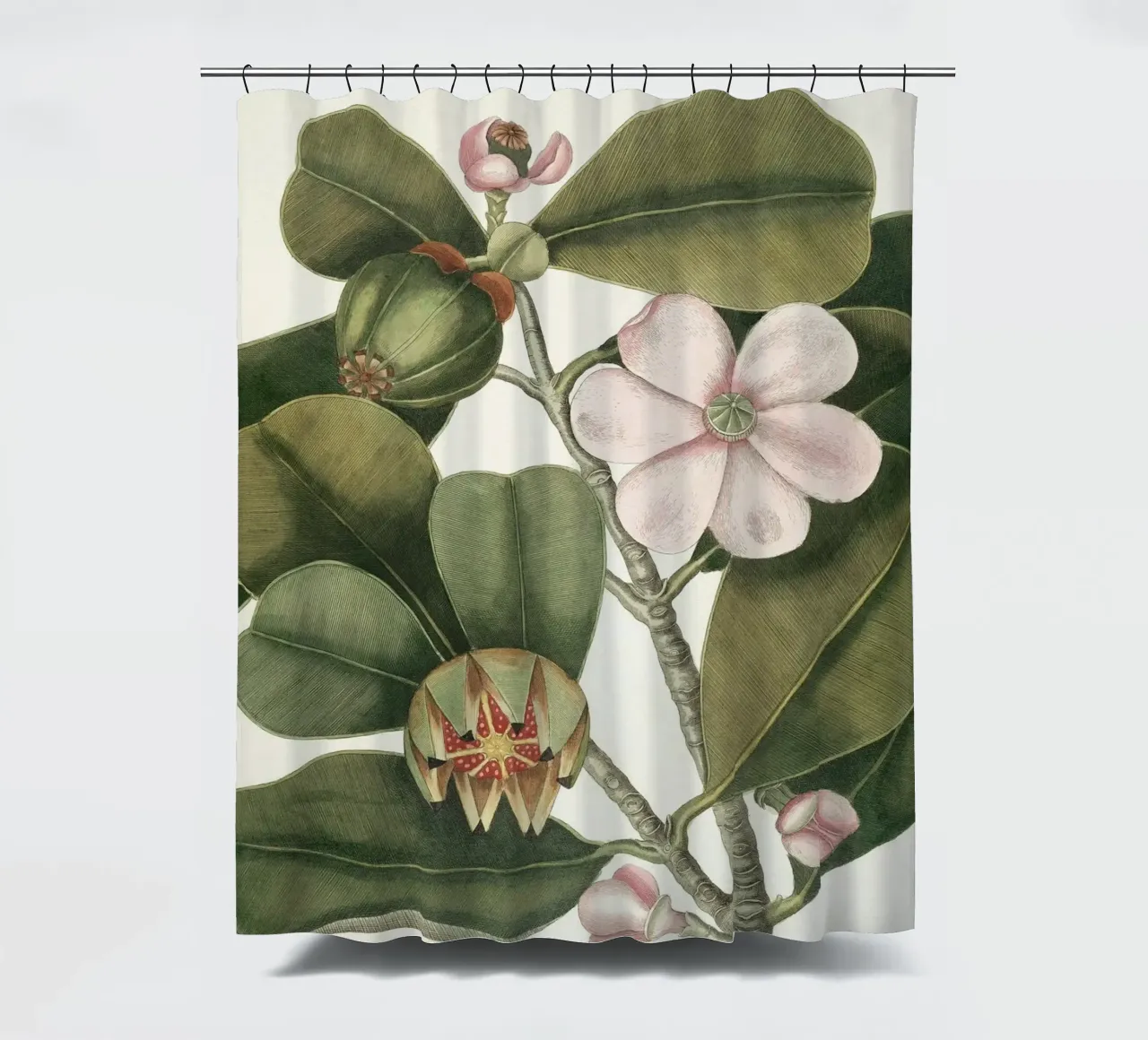 Balsam Tree in Bloom tenda da doccia da apoloprints