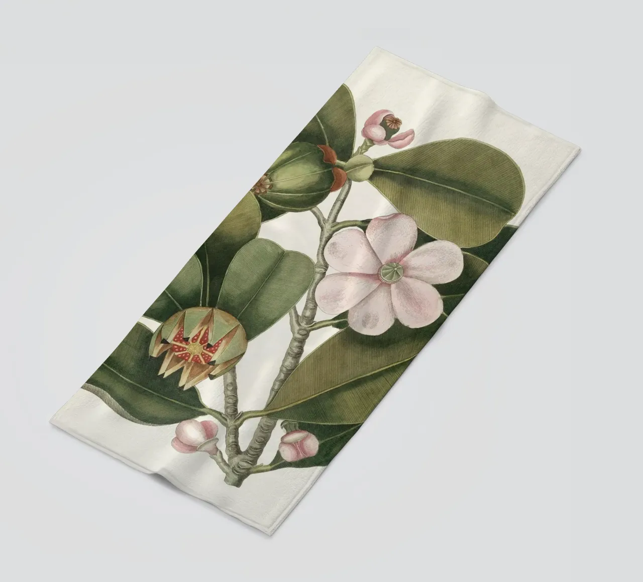 Balsam Tree in Bloom telo mare da apoloprints