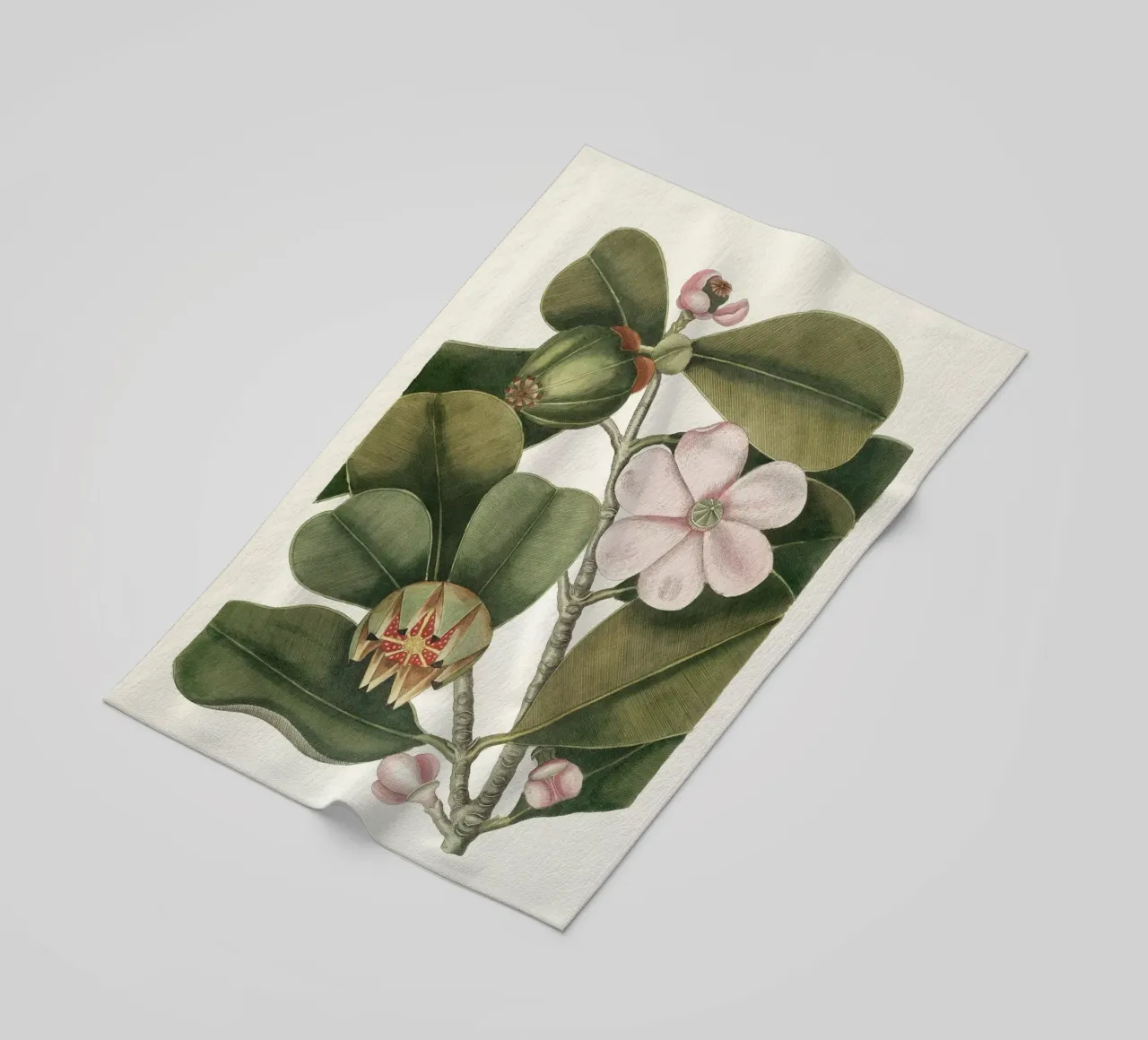 Balsam Tree in Bloom telo mare da apoloprints