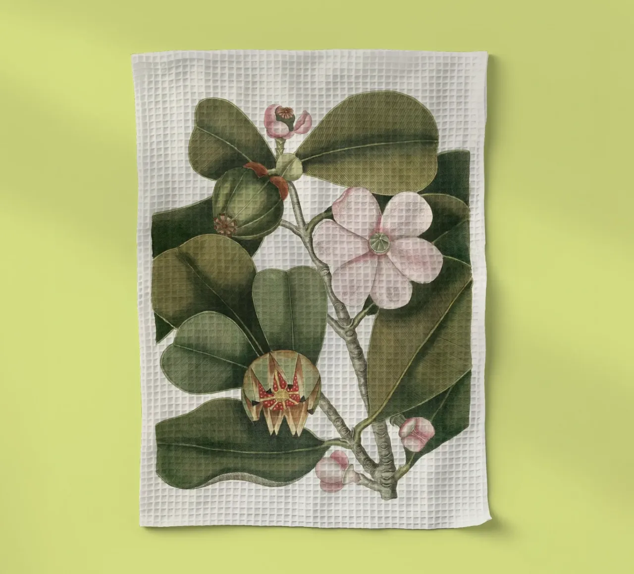 Balsam Tree in Bloom torchon de apoloprints