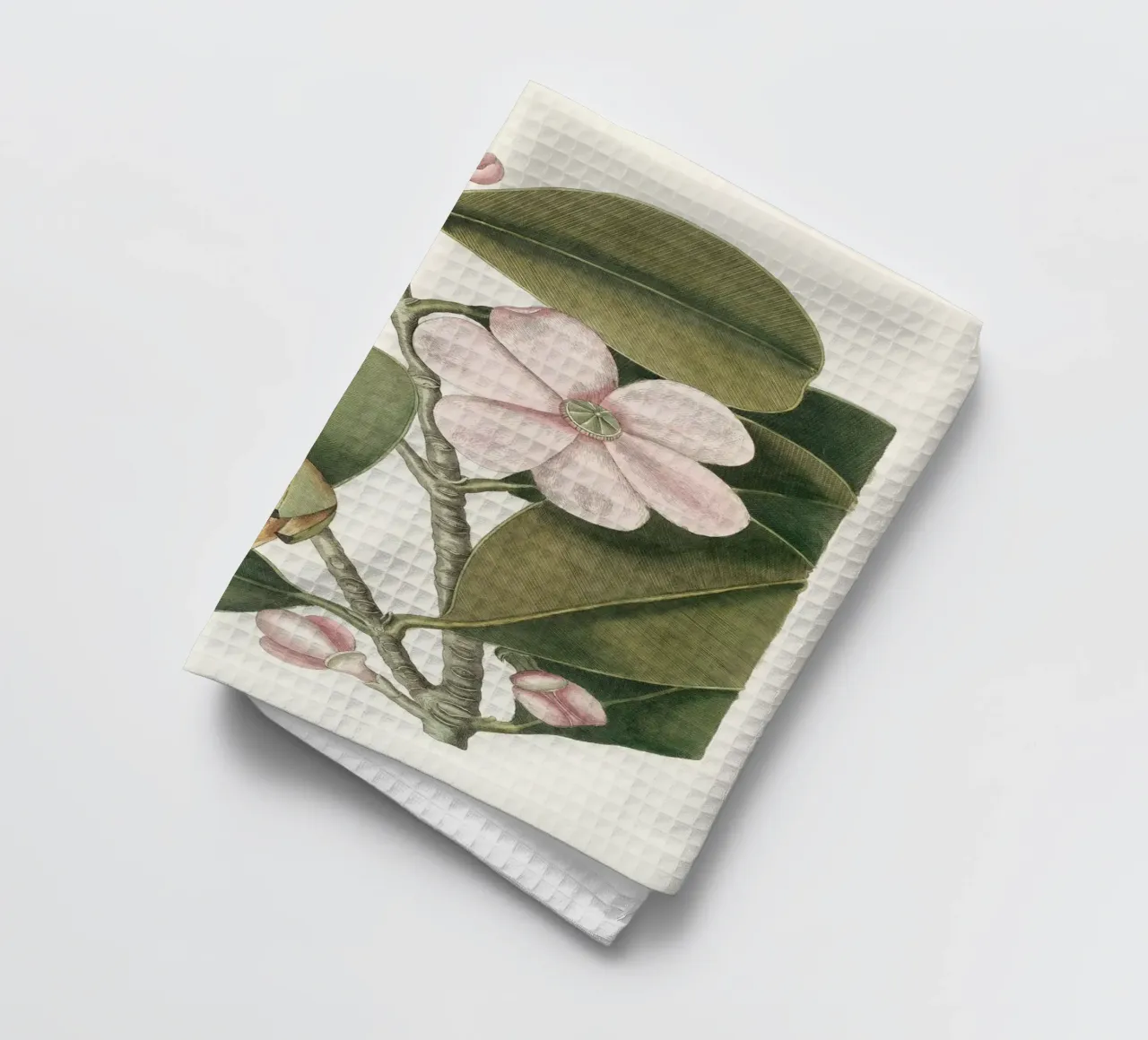 Balsam Tree in Bloom torchon de apoloprints