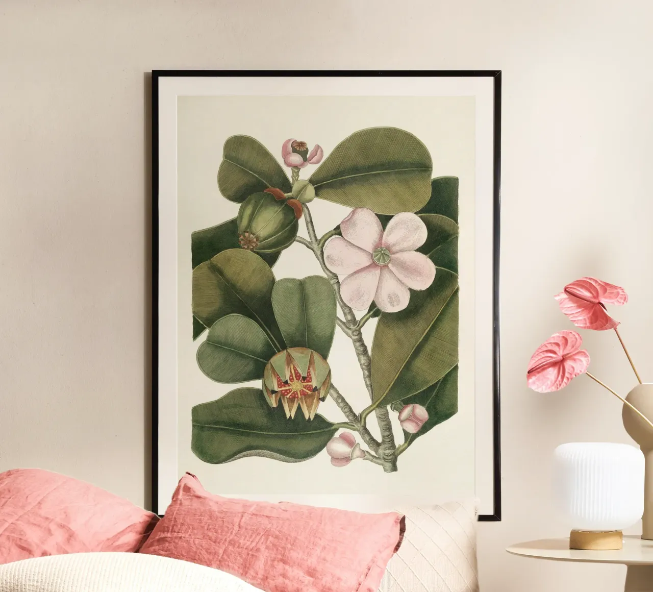 Balsam Tree in Bloom poster da apoloprints