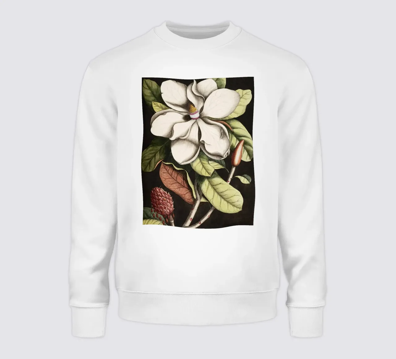 Magnolia Flower - Laurel Tree felpa da apoloprints