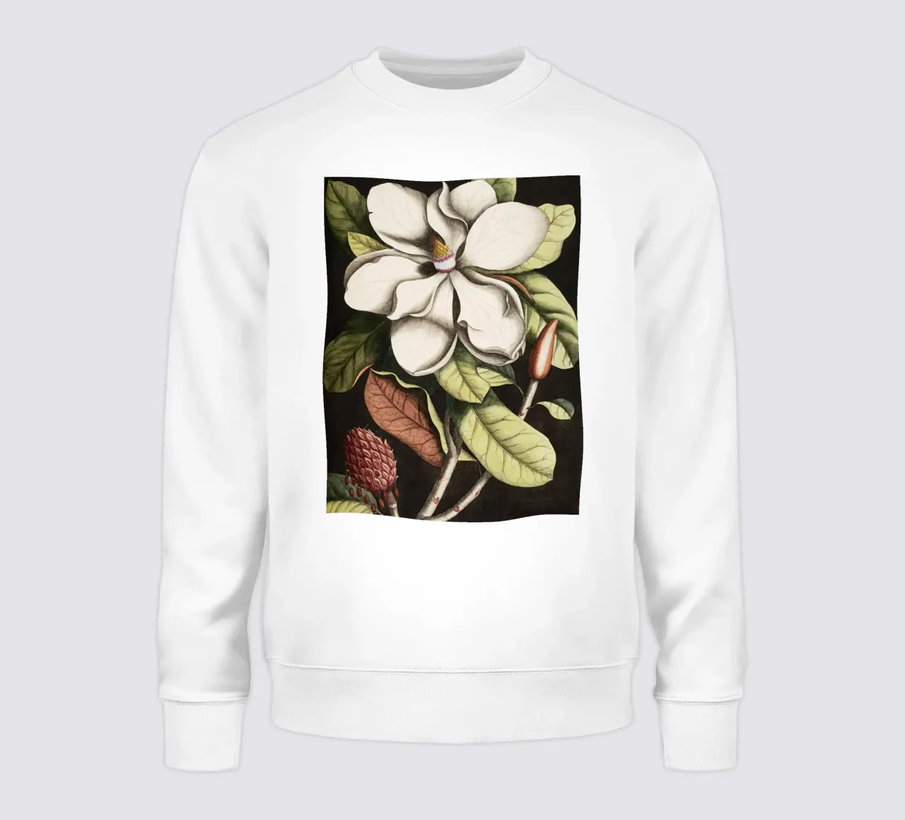 Magnolia Flower - Laurel Tree felpa da apoloprints