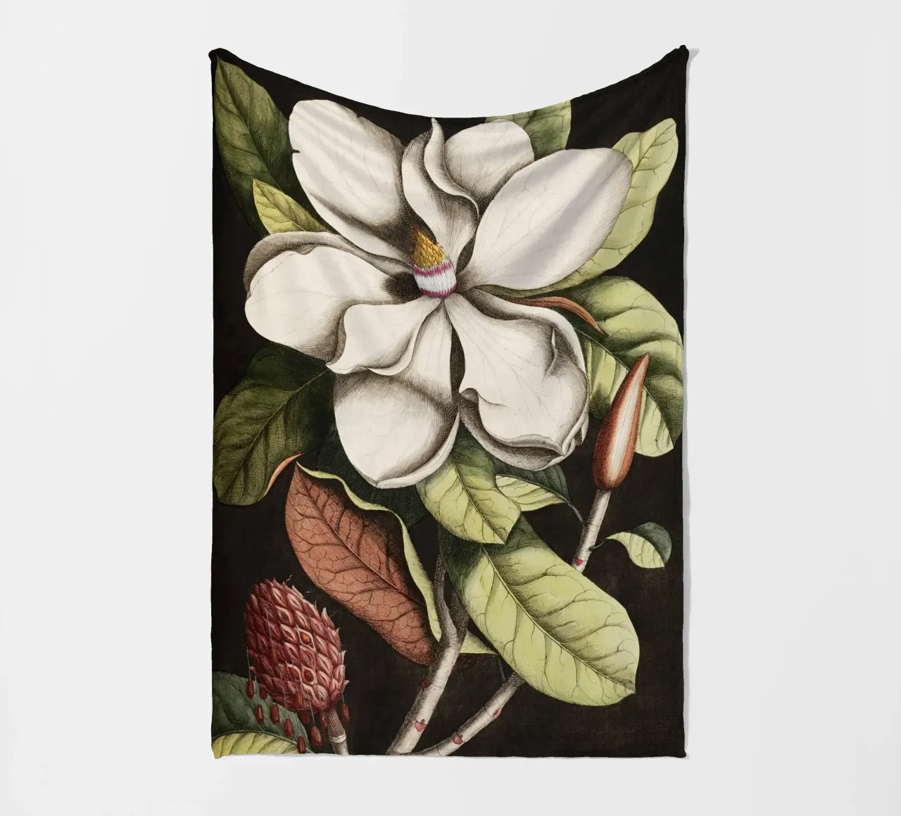 Magnolia Flower - Laurel Tree coperta in pile da apoloprints