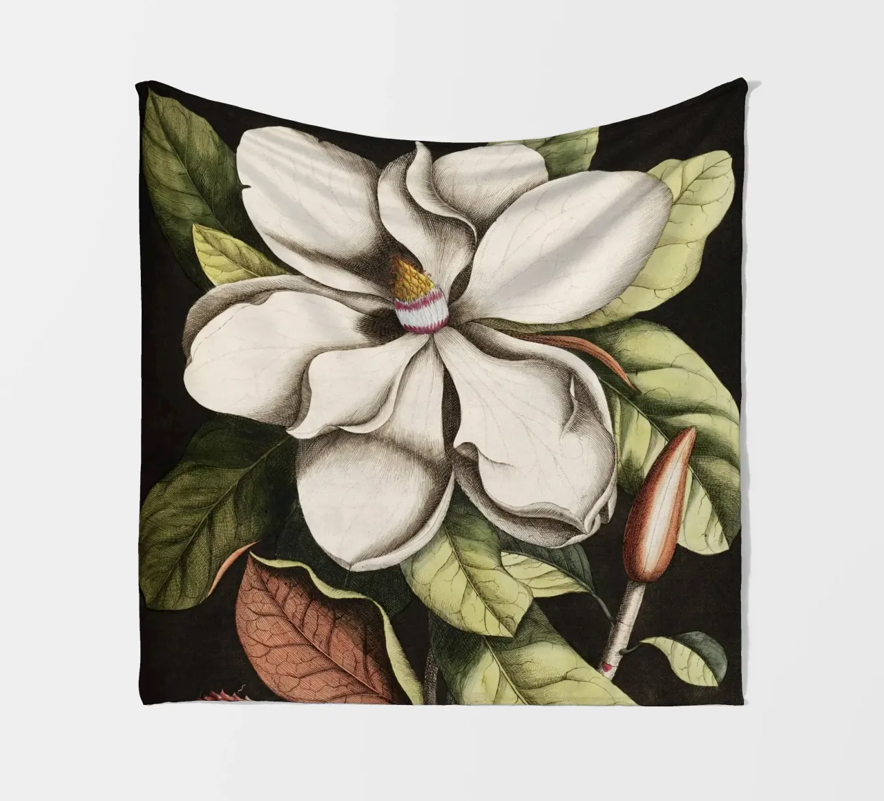 Magnolia Flower - Laurel Tree coperta in pile da apoloprints