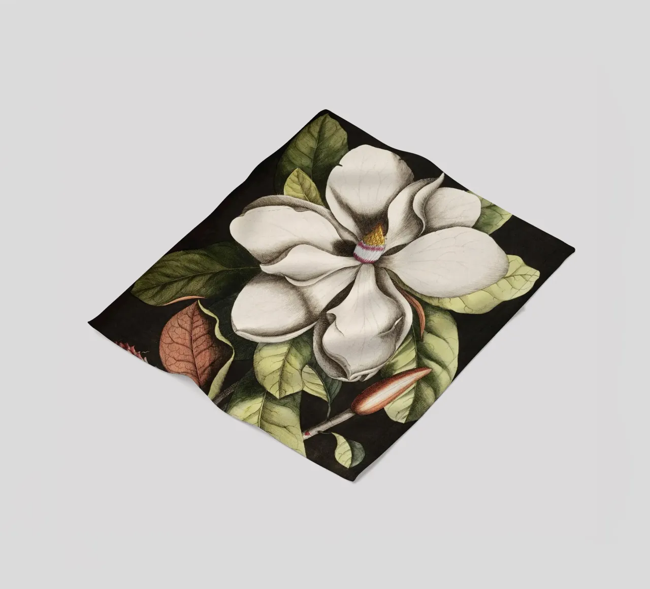 Magnolia Flower - Laurel Tree coperta in pile da apoloprints