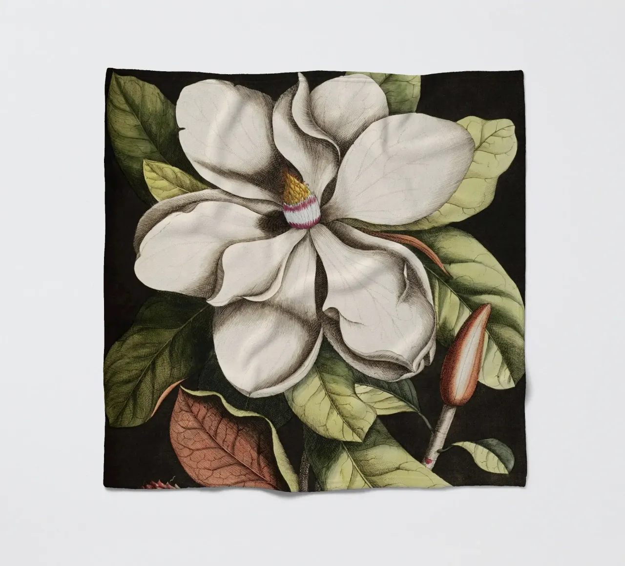 Magnolia Flower - Laurel Tree coperta in pile da apoloprints