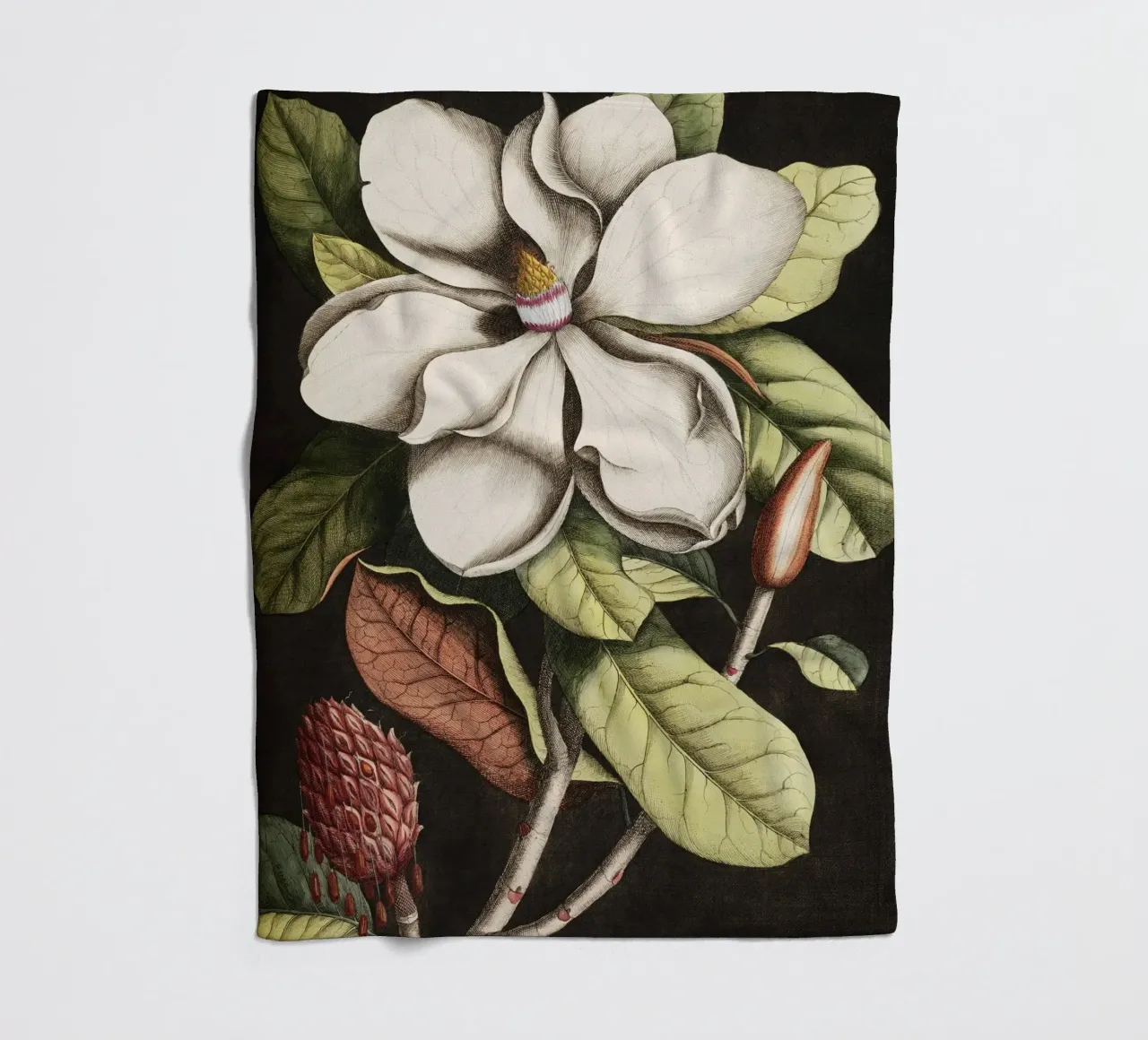 Magnolia Flower - Laurel Tree coperta in pile da apoloprints