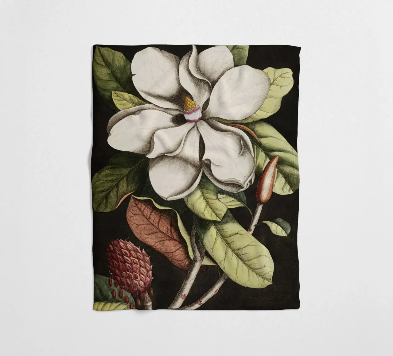 Magnolia Flower - Laurel Tree coperta in pile da apoloprints