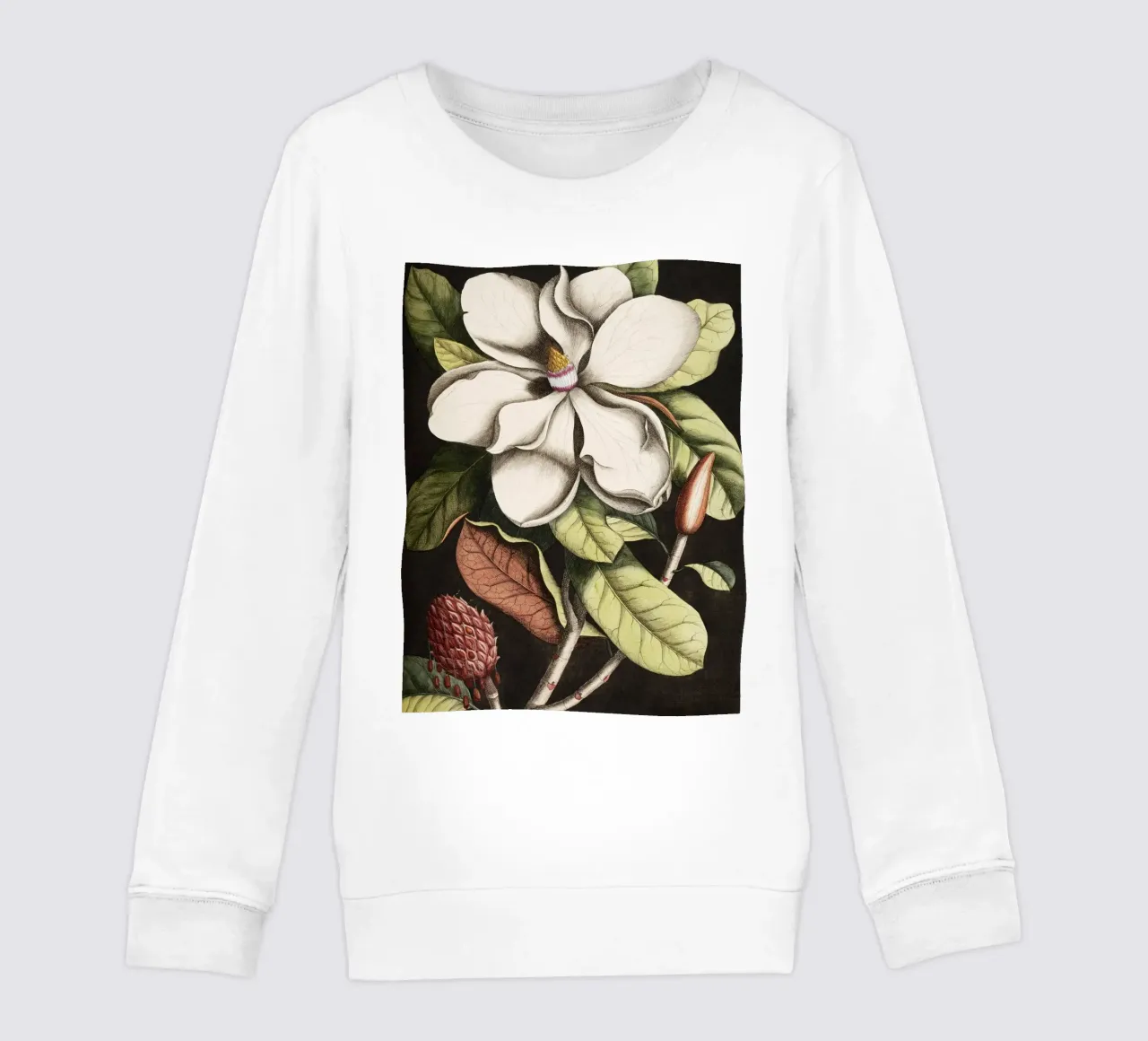 Magnolia Flower - Laurel Tree felpa bambino da apoloprints