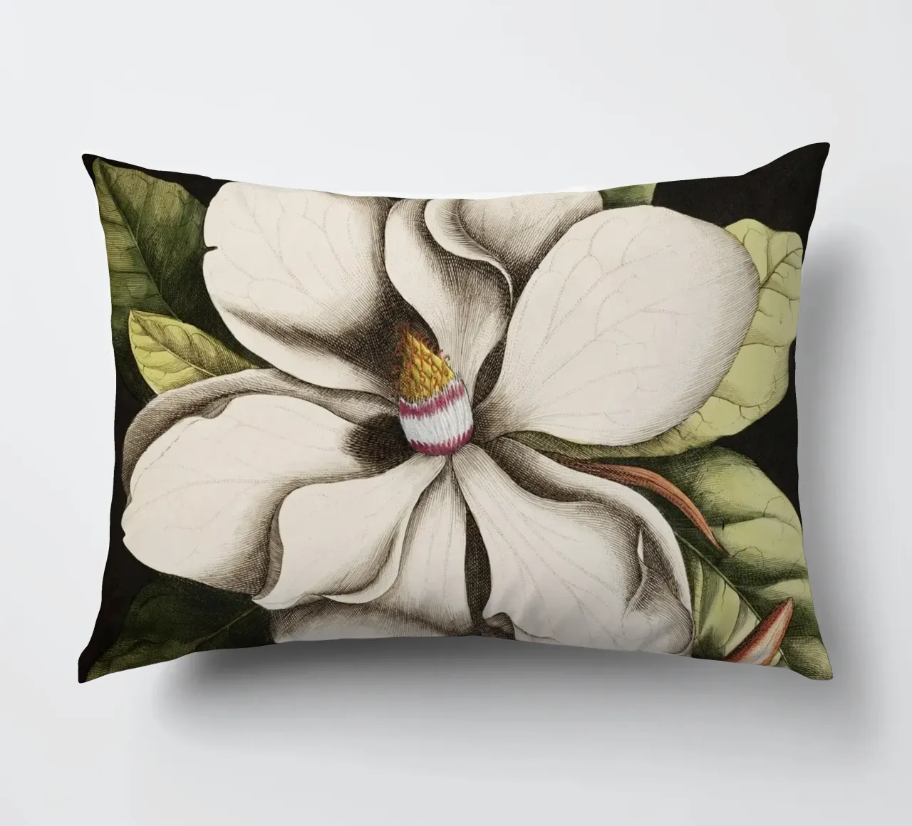 Magnolia Flower - Laurel Tree cuscino da apoloprints