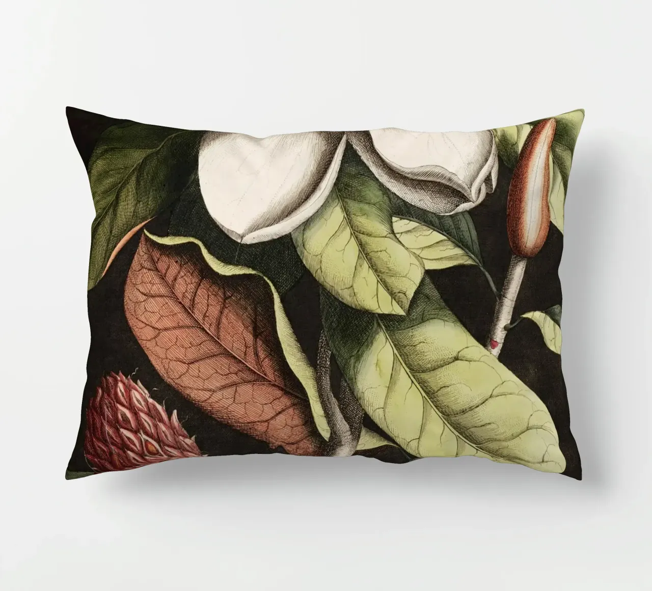 Magnolia Flower - Laurel Tree cuscino da apoloprints