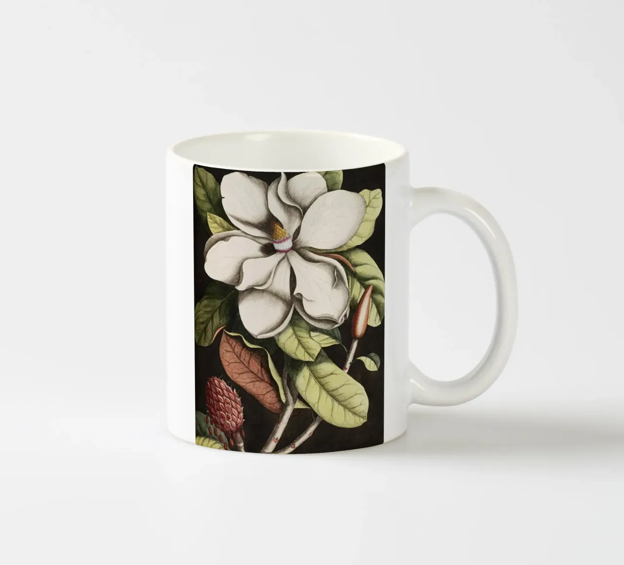Magnolia Flower - Laurel Tree tazza in ceramica da apoloprints