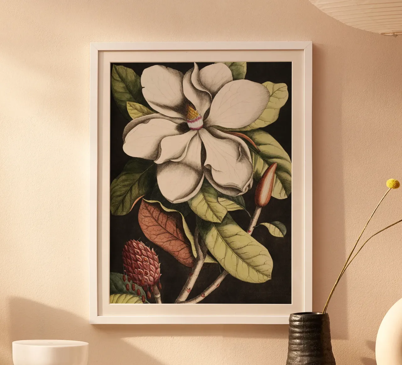 Magnolia Flower - Laurel Tree poster da apoloprints