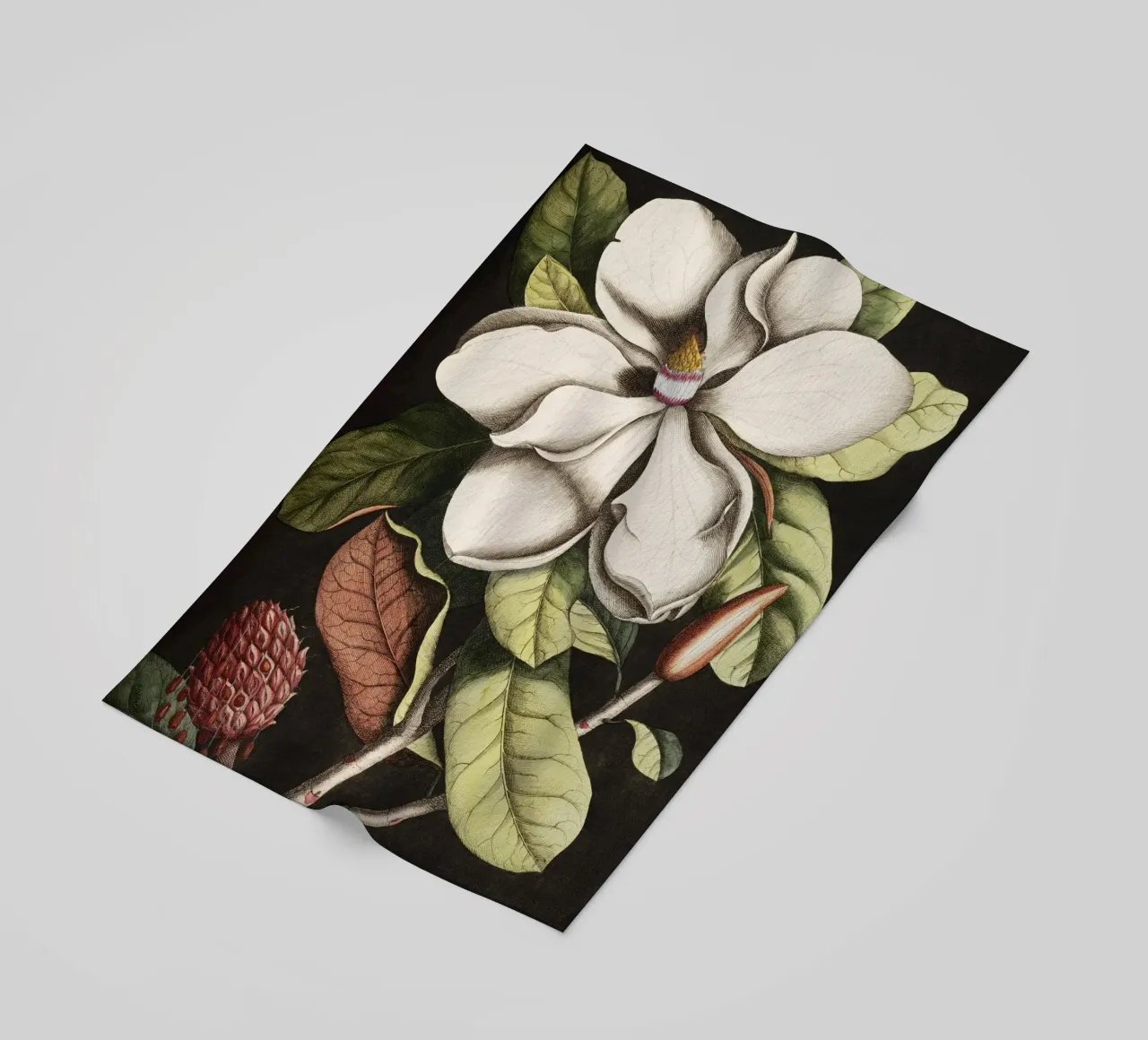 Magnolia Flower - Laurel Tree telo mare da apoloprints
