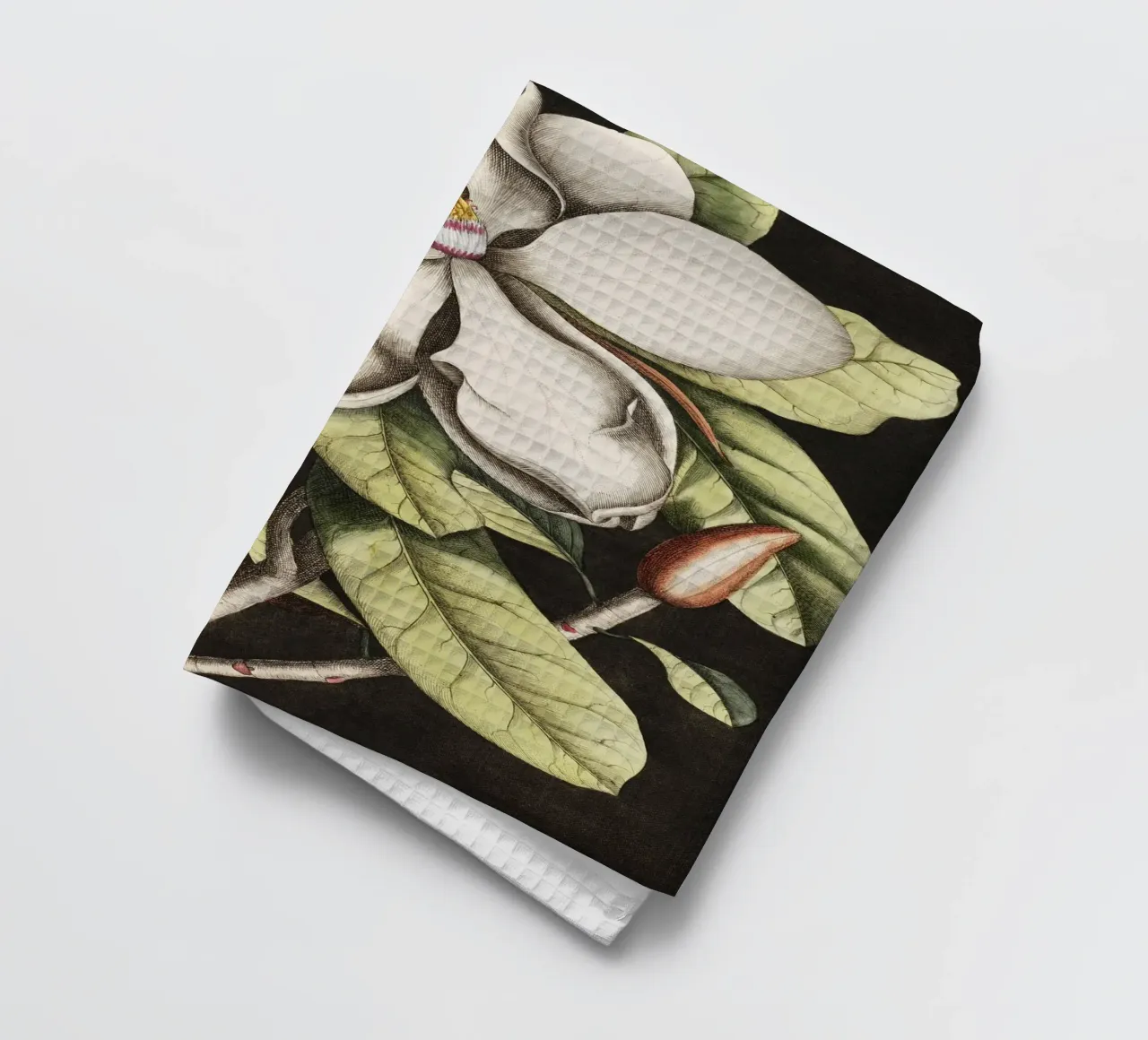Magnolia Flower - Laurel Tree canovaccio da cucina da apoloprints