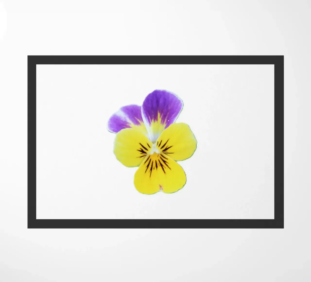 pensée doormat by DragonFly