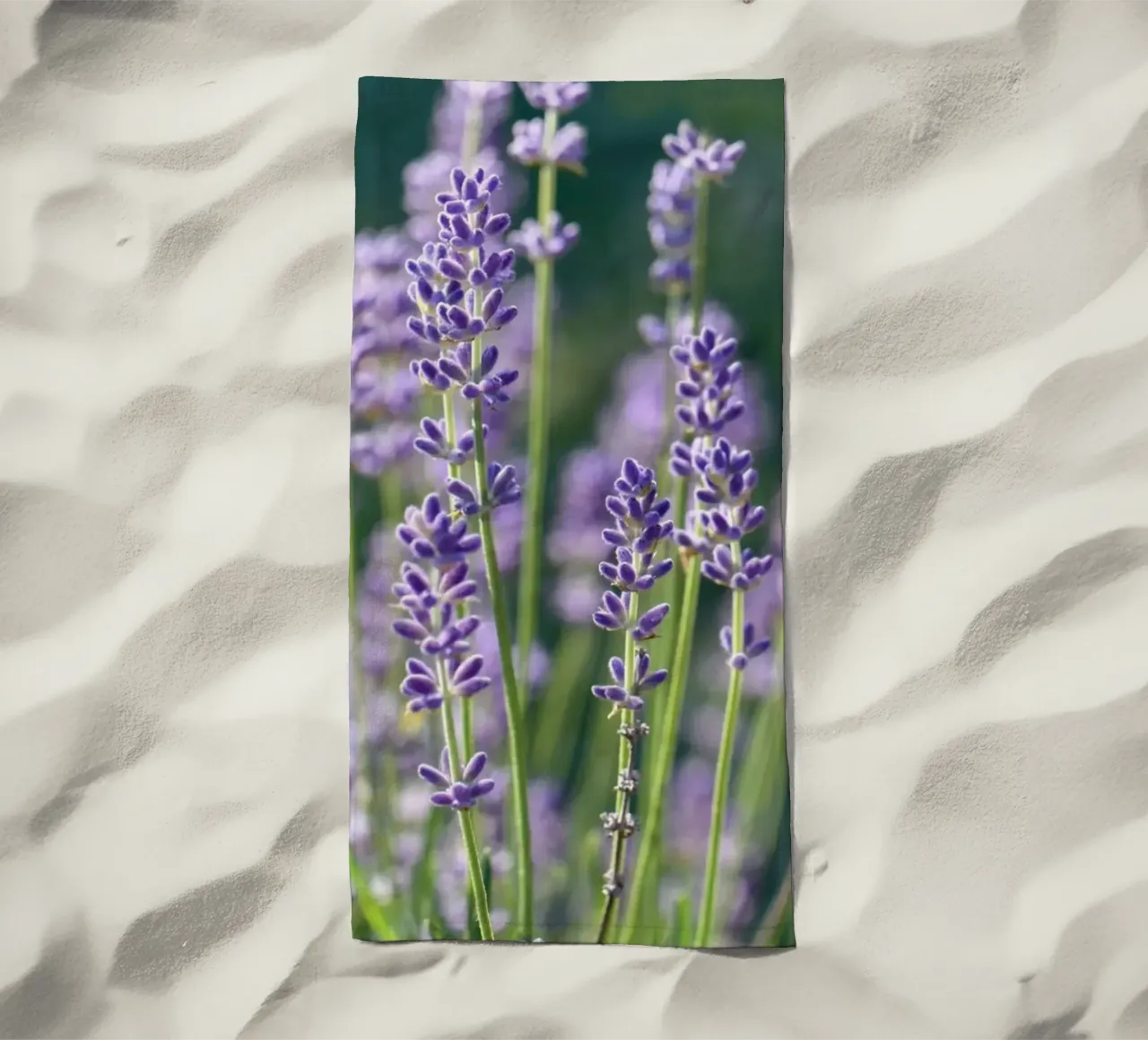 Lavanda telo mare da Atteloi