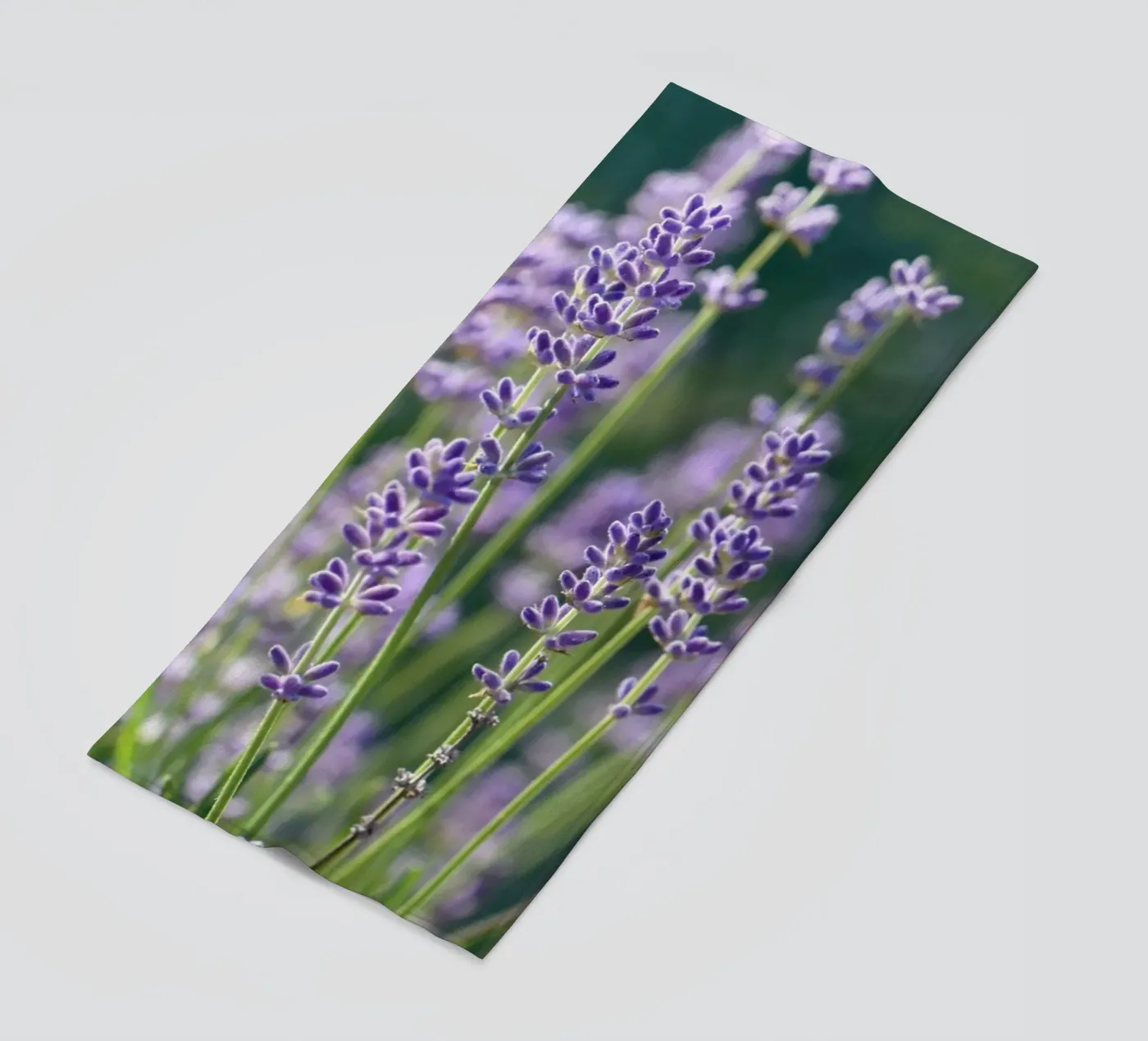 Lavanda telo mare da Atteloi