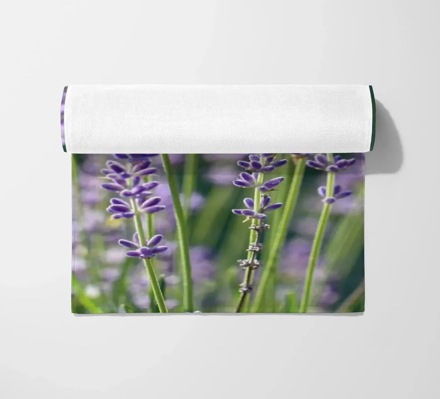 Lavanda telo mare da Atteloi