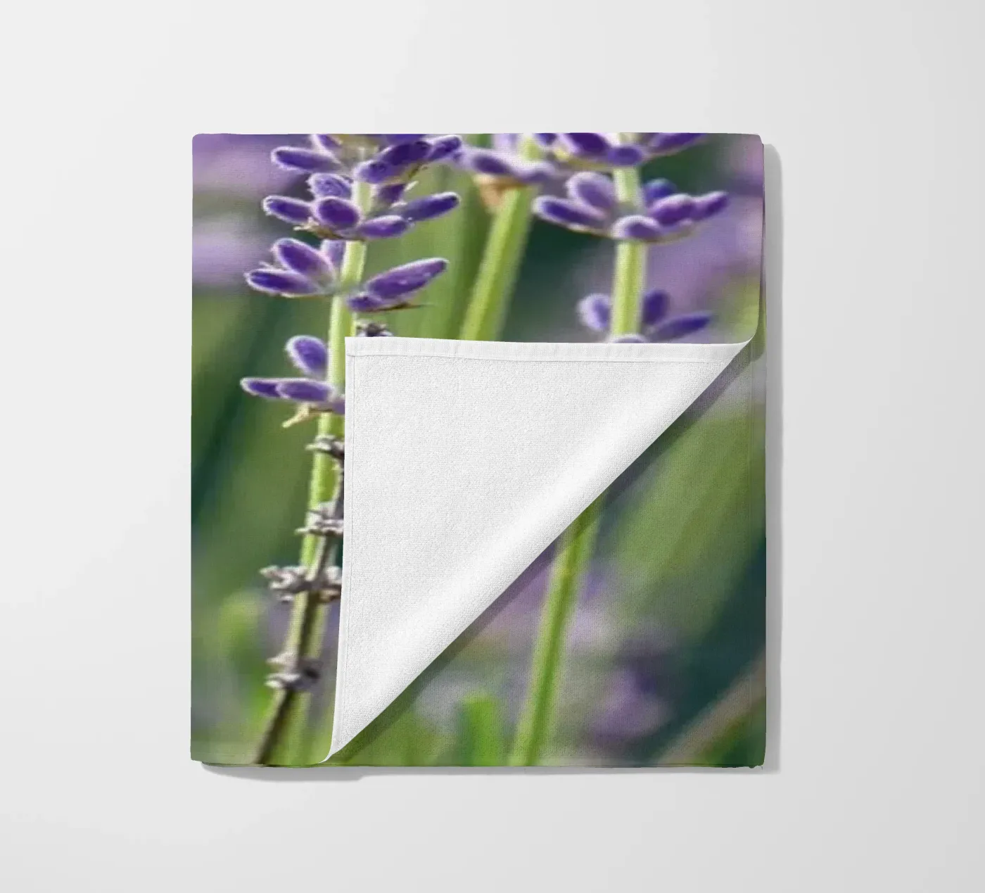 Lavanda telo mare da Atteloi