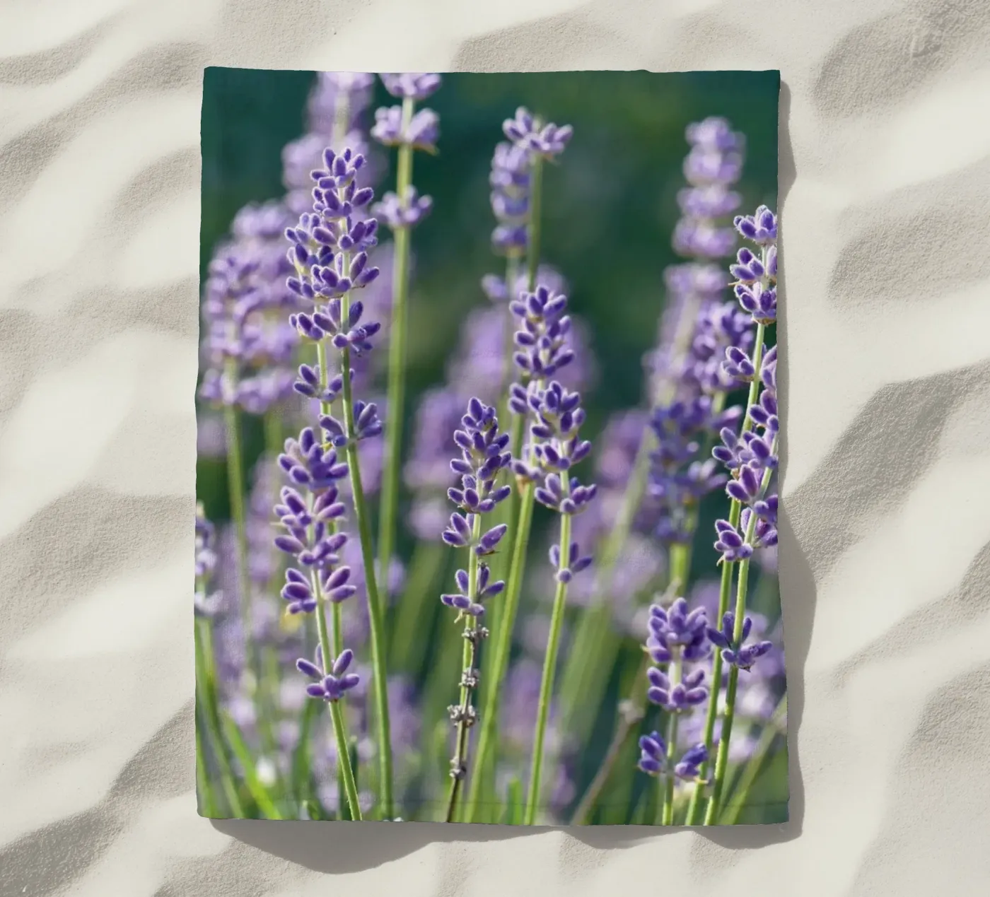 Lavanda telo mare da Atteloi