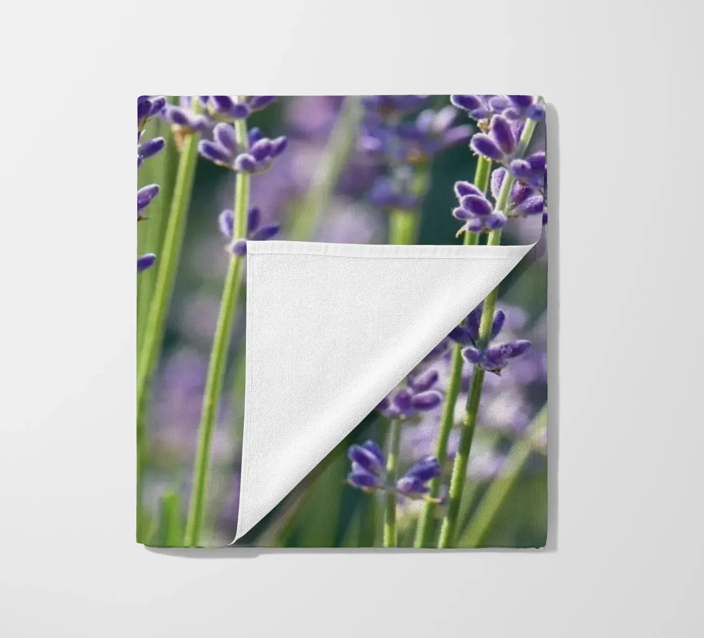 Lavanda telo mare da Atteloi