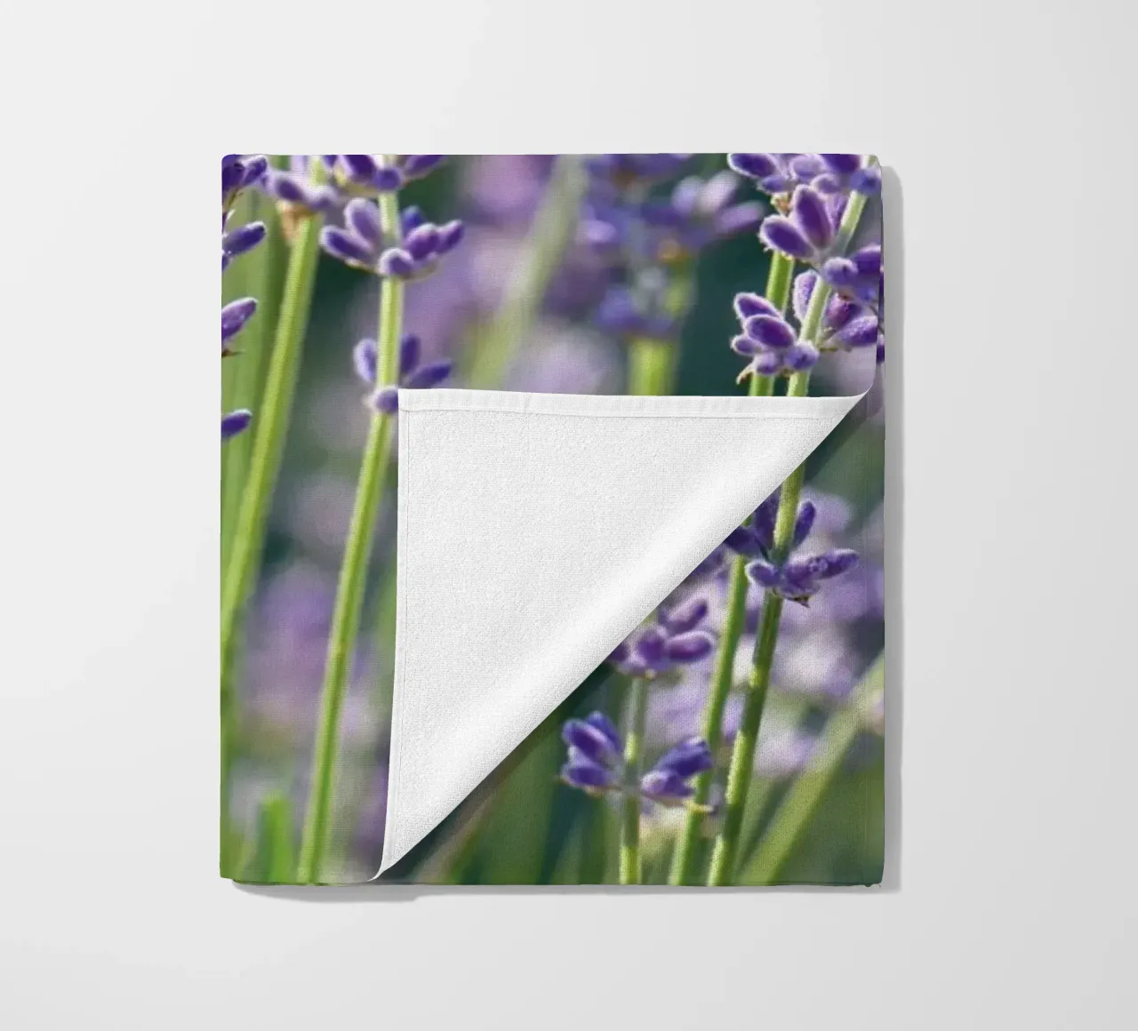 Lavanda telo mare da Atteloi