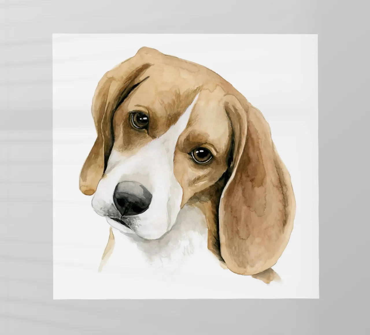 Beagle ll pellicola backlit da David Jackson