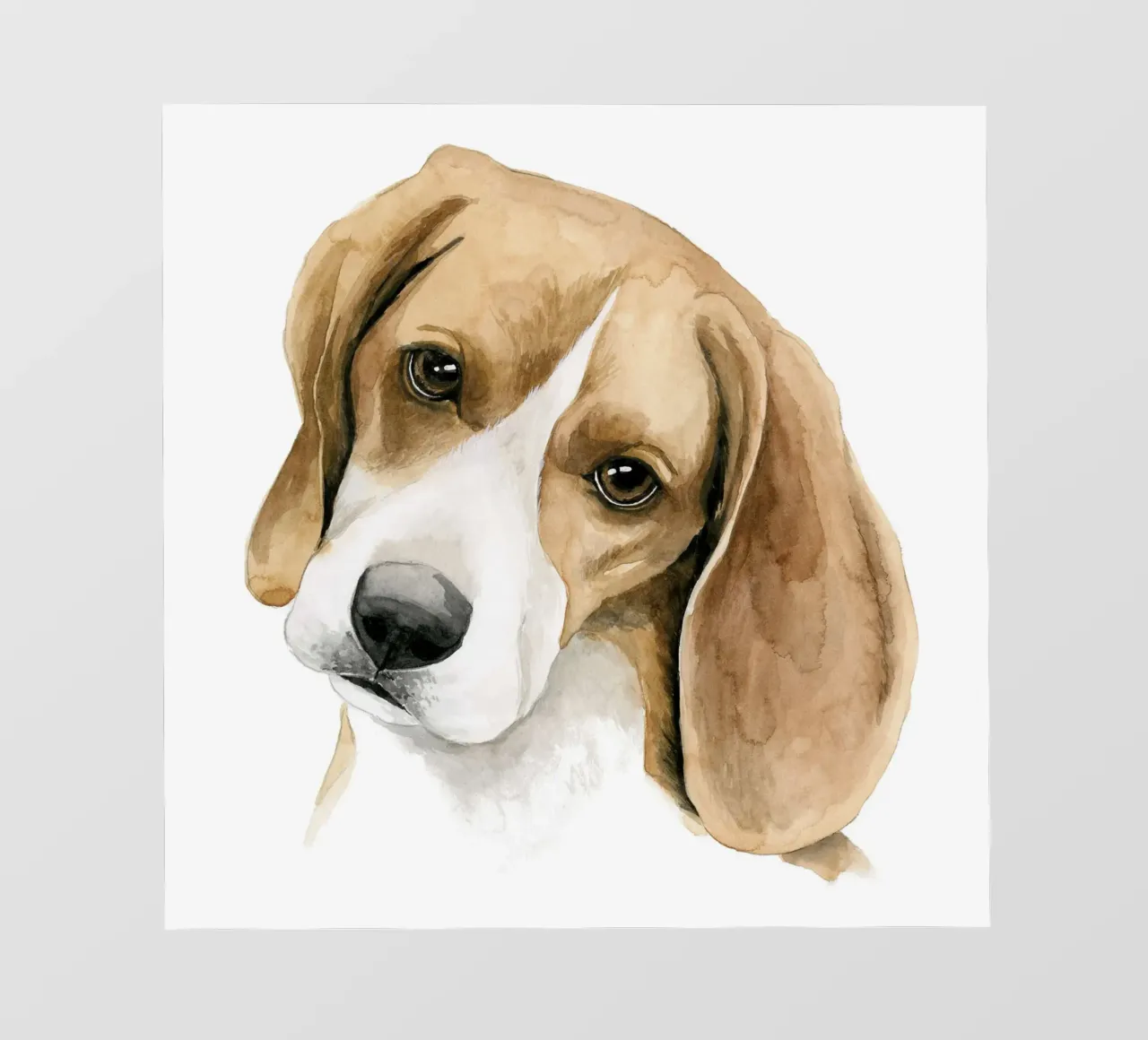 Beagle ll pellicola backlit da David Jackson