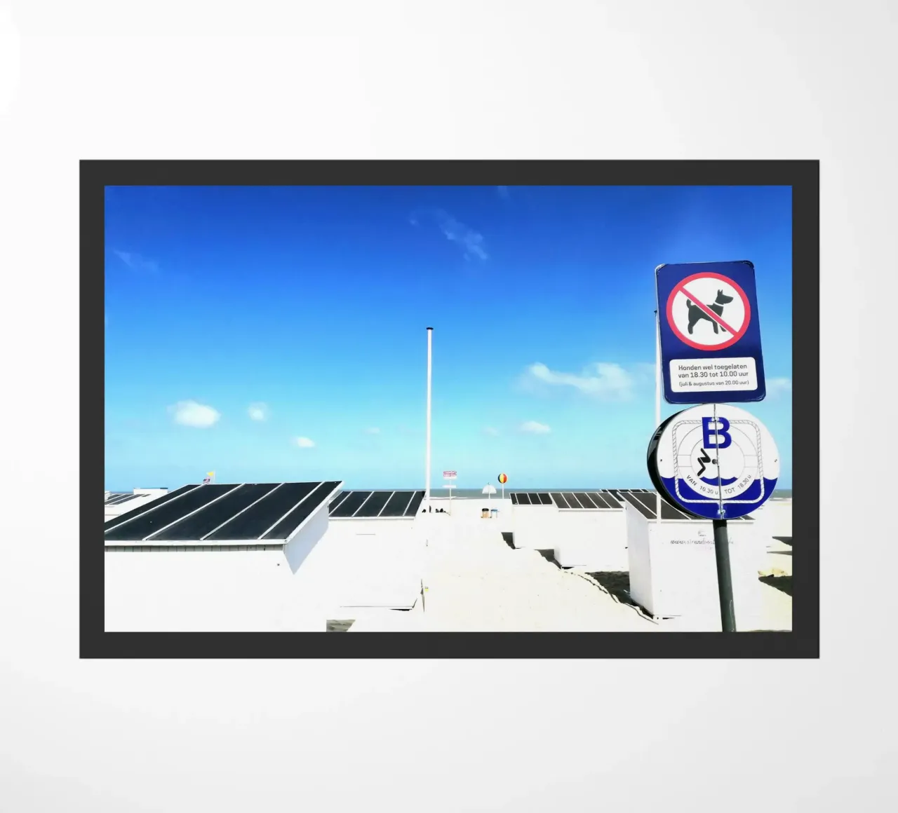 Mariakerkebeach zerbino da DragonFly