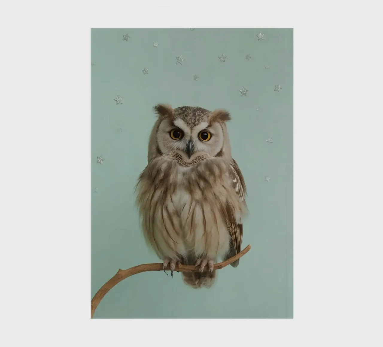 Owl Perched on Branch with Star Background notebook by DesignDoodle