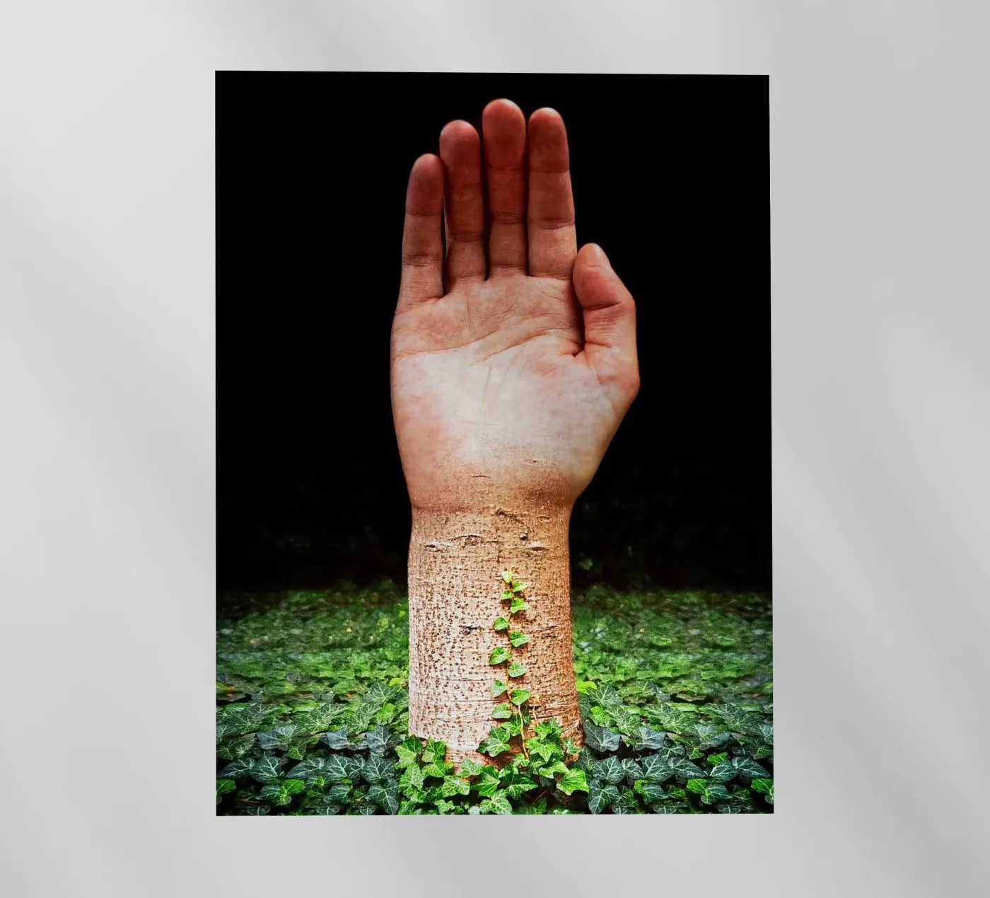 Palm Tree pellicola backlit da mofartmonica