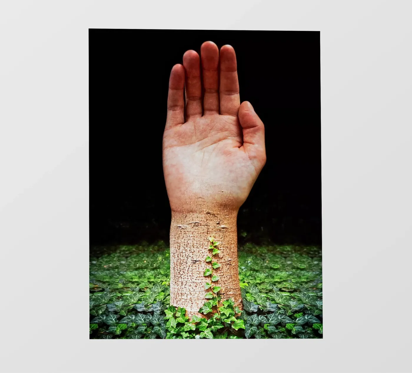 Palm Tree pellicola backlit da mofartmonica