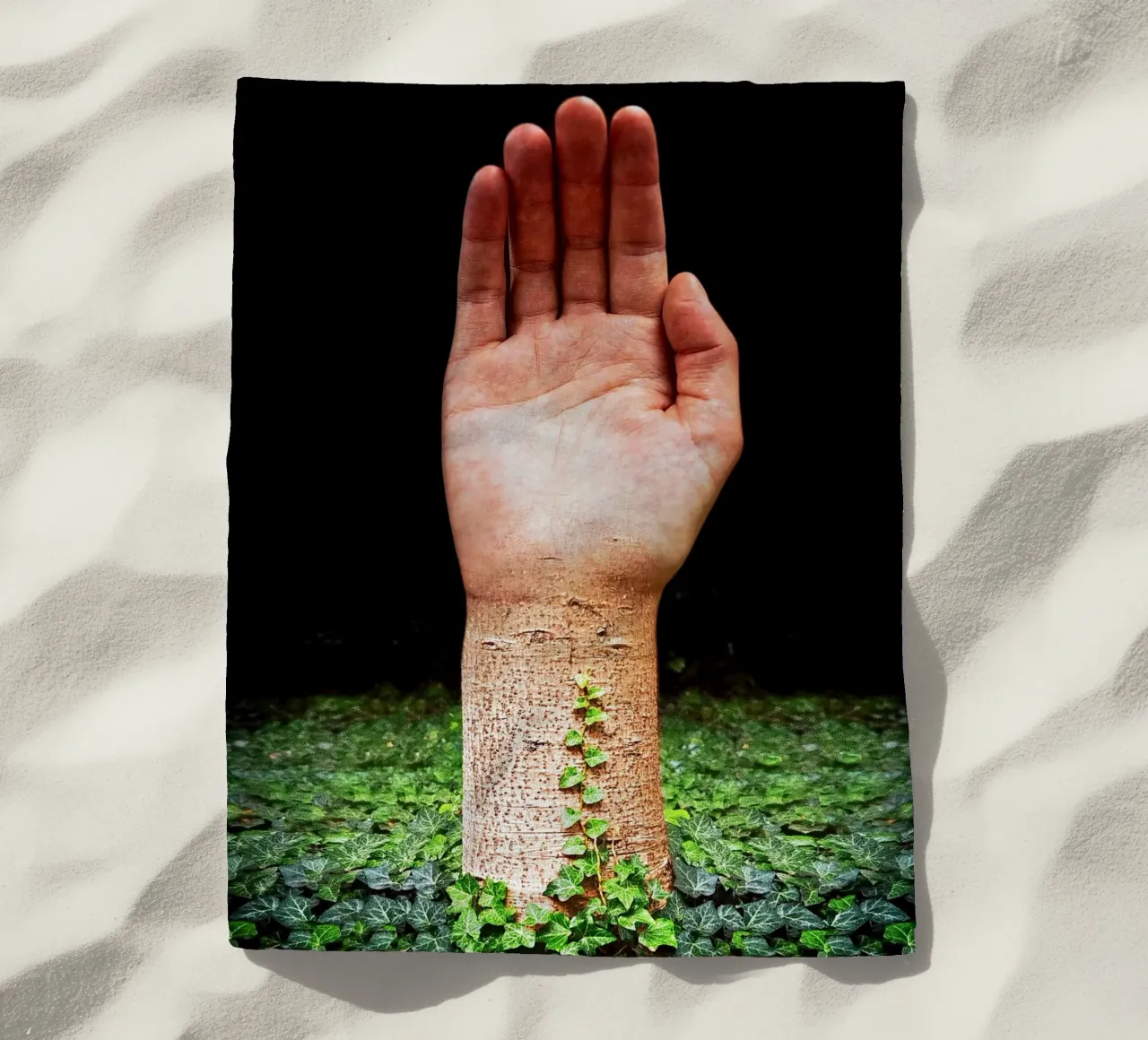 Palm Tree telo mare da mofartmonica