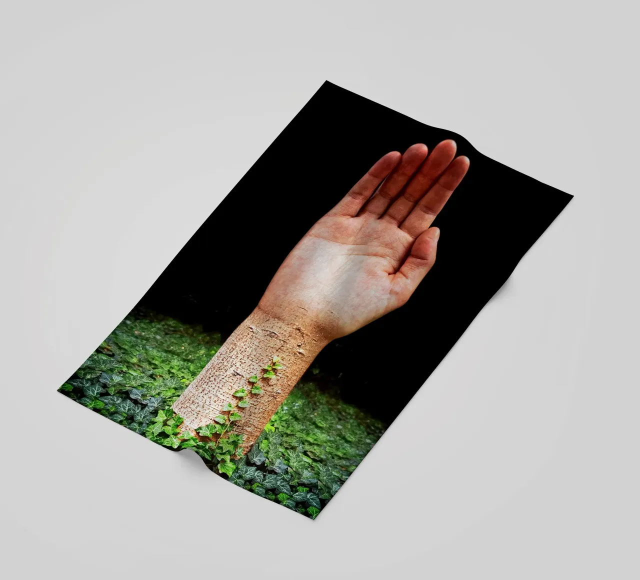 Palm Tree telo mare da mofartmonica