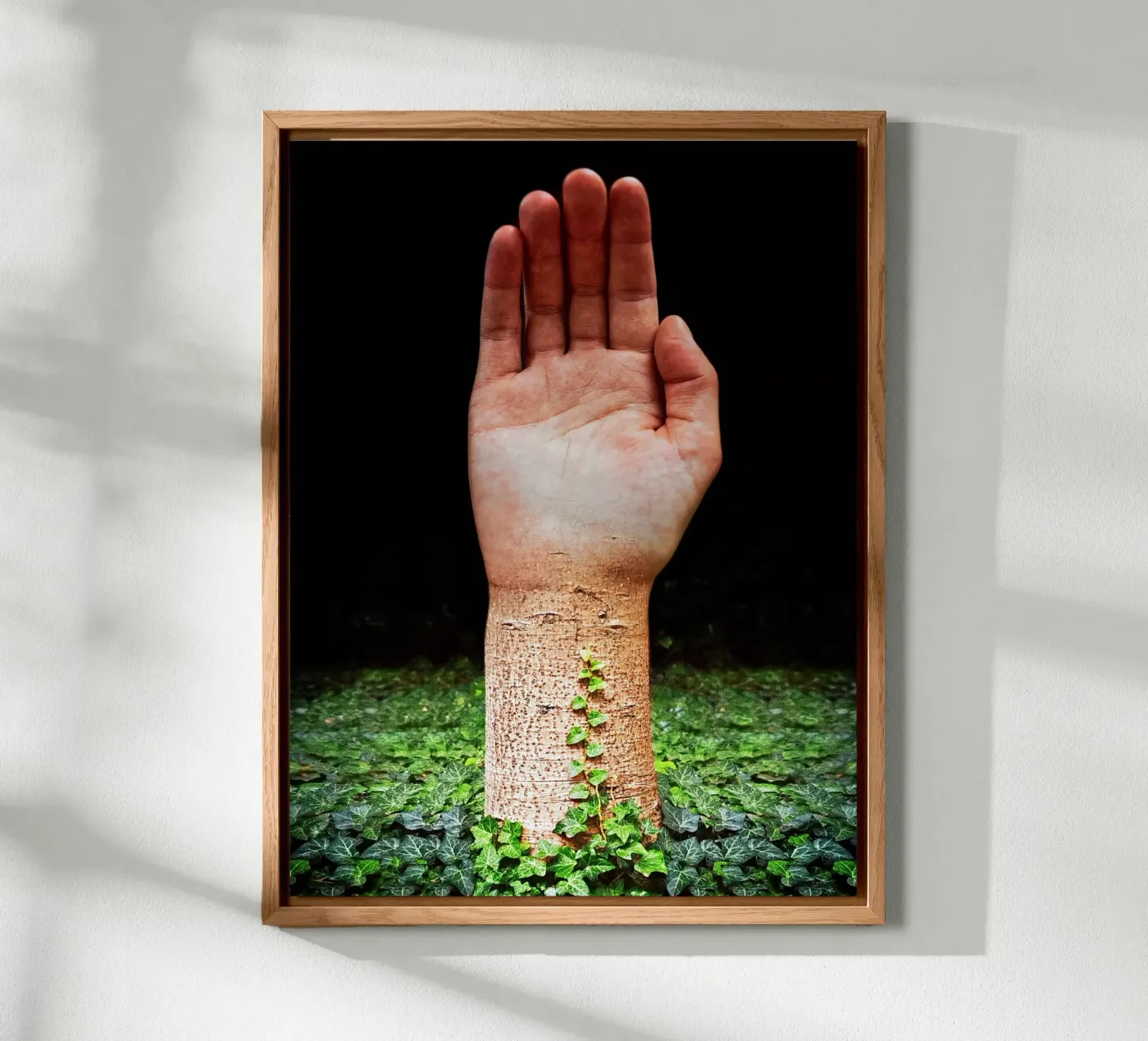 Palm Tree forex plate by mofartmonica