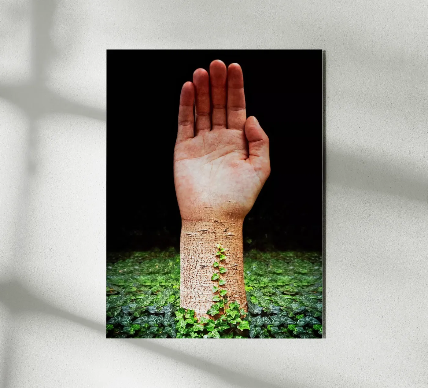 Palm Tree forex plate by mofartmonica