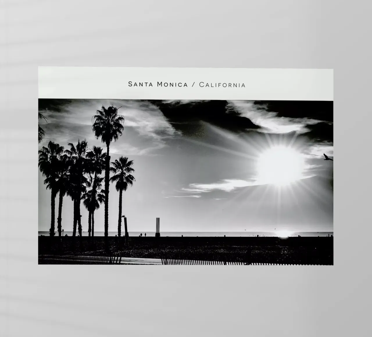 Santa Monica No. 1 B&W pellicola backlit da In Full Color