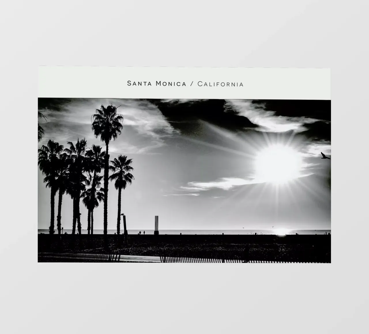 Santa Monica No. 1 B&W pellicola backlit da In Full Color