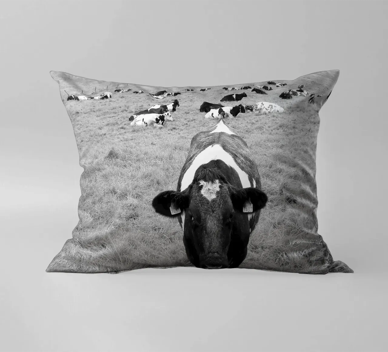 cowsB&W cuscino da DragonFly