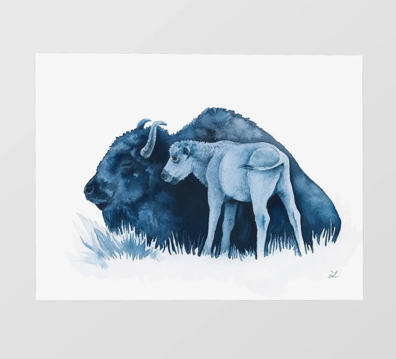 Madre bisonte con il suo vitello pellicola backlit da David Jackson