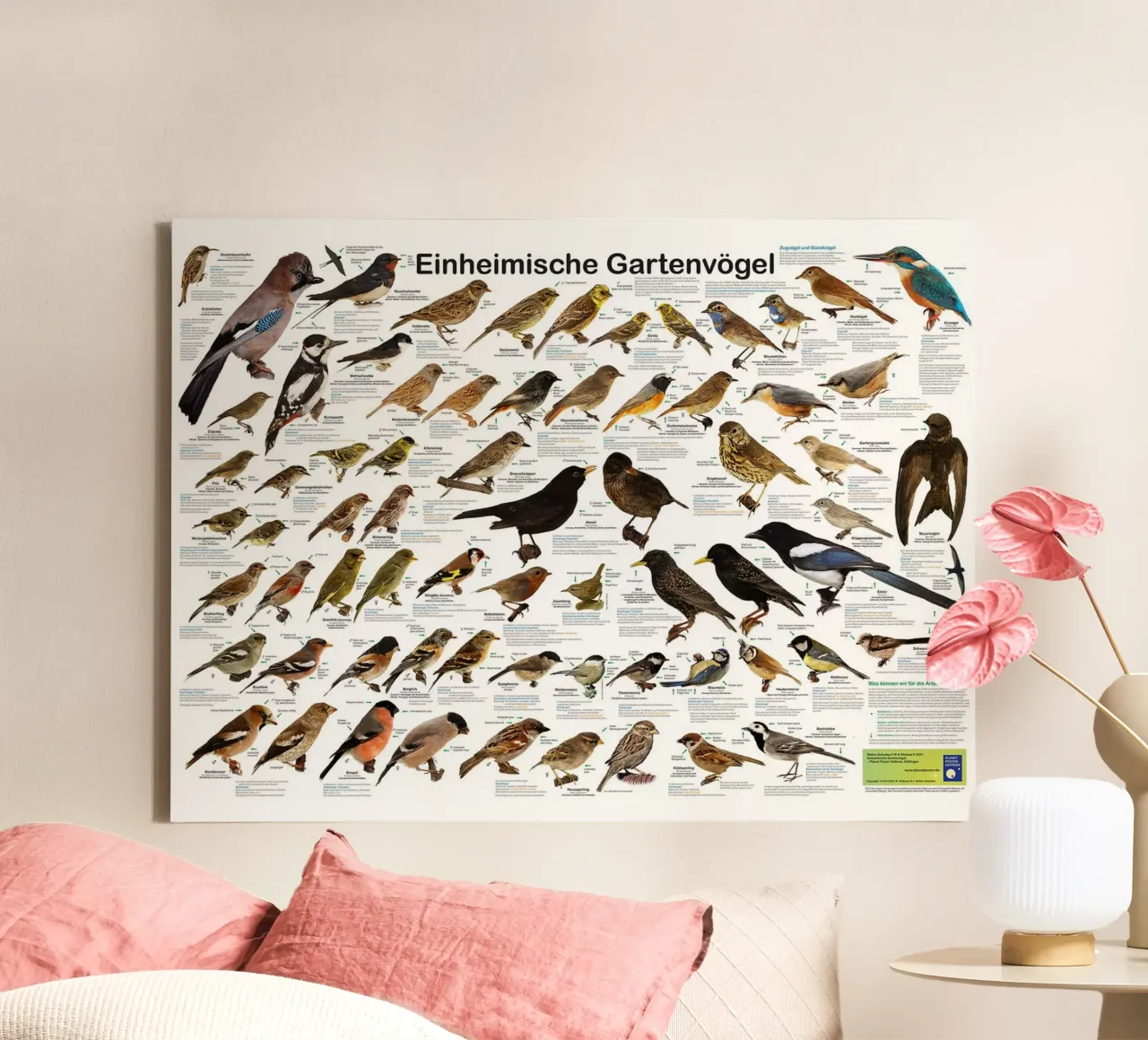 Inheemse tuinvogels (Duits) canvas met Baklijst van David Jackson