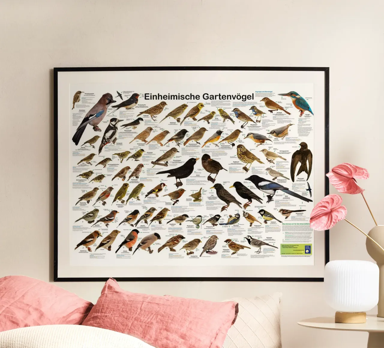 Inheemse tuinvogels (Duits) poster van David Jackson
